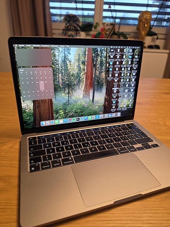 Notebook: Apple MacBook Pro M1 – Usato da Herznach venduto da _minions