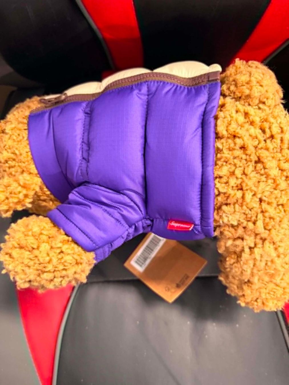 Supreme T-shirts: Supreme The North Face Bear – D'occasion à Giubiasco par Ticinerd 1