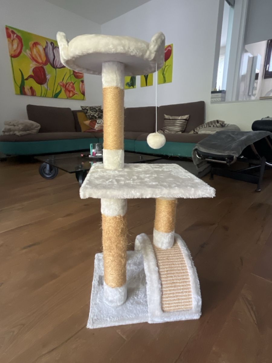 Tiragraffi: Tiragraffi per gatto – Usato da Bellinzona venduto da ser_9jzp