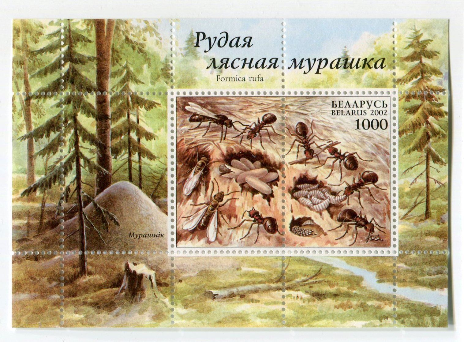 Tous les timbres: Block "Ameisen". Weissrussland. – Neuf avec emballage d'origine à Basel par Butsch5