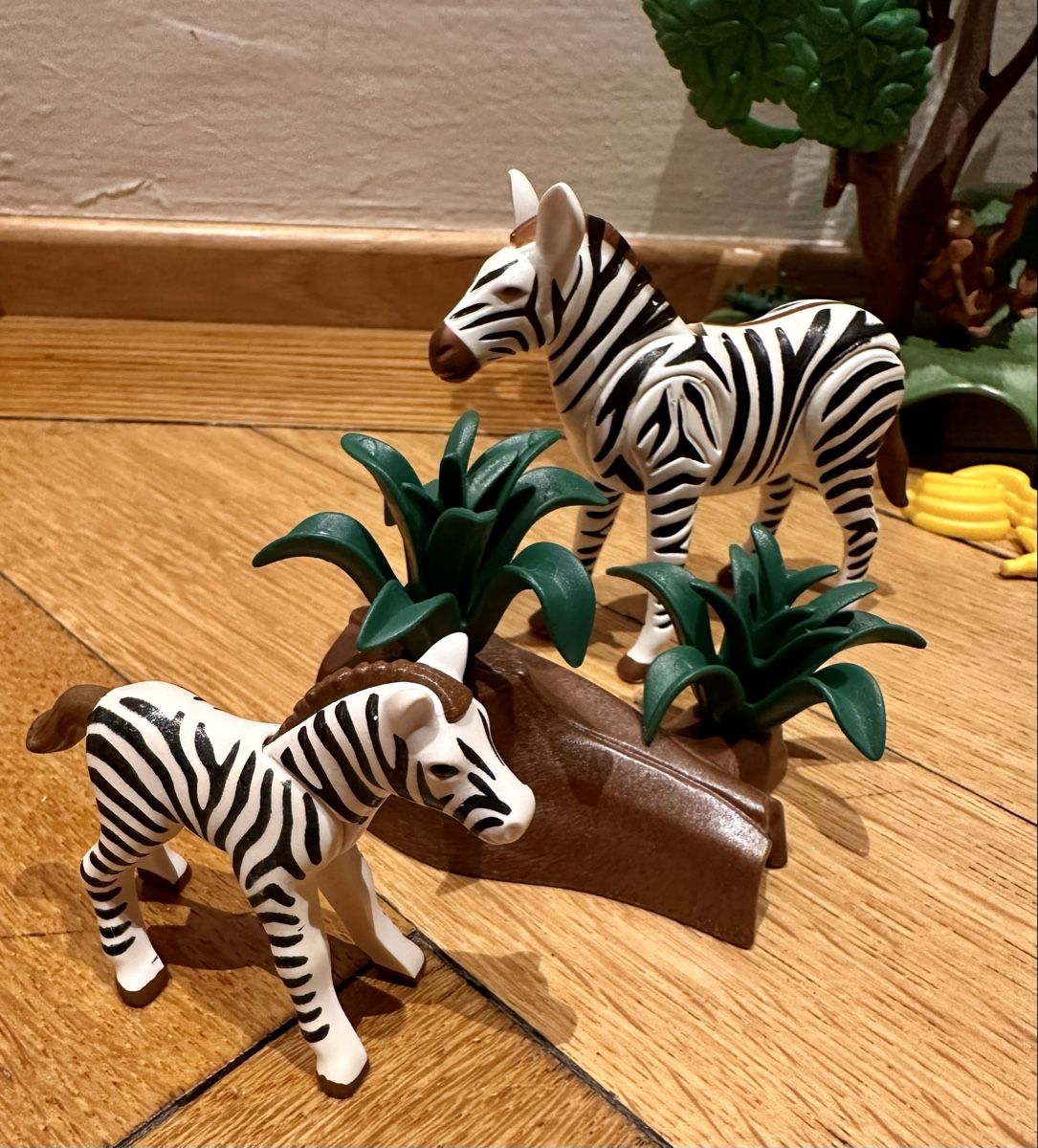 Playmobil Giocattoli: GROSSER Playmobil ZOO – Usato da Zürich venduto da MyCellar 3