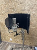 sE Electronics 2200a Mikrofon und Reflexion Filter Pro