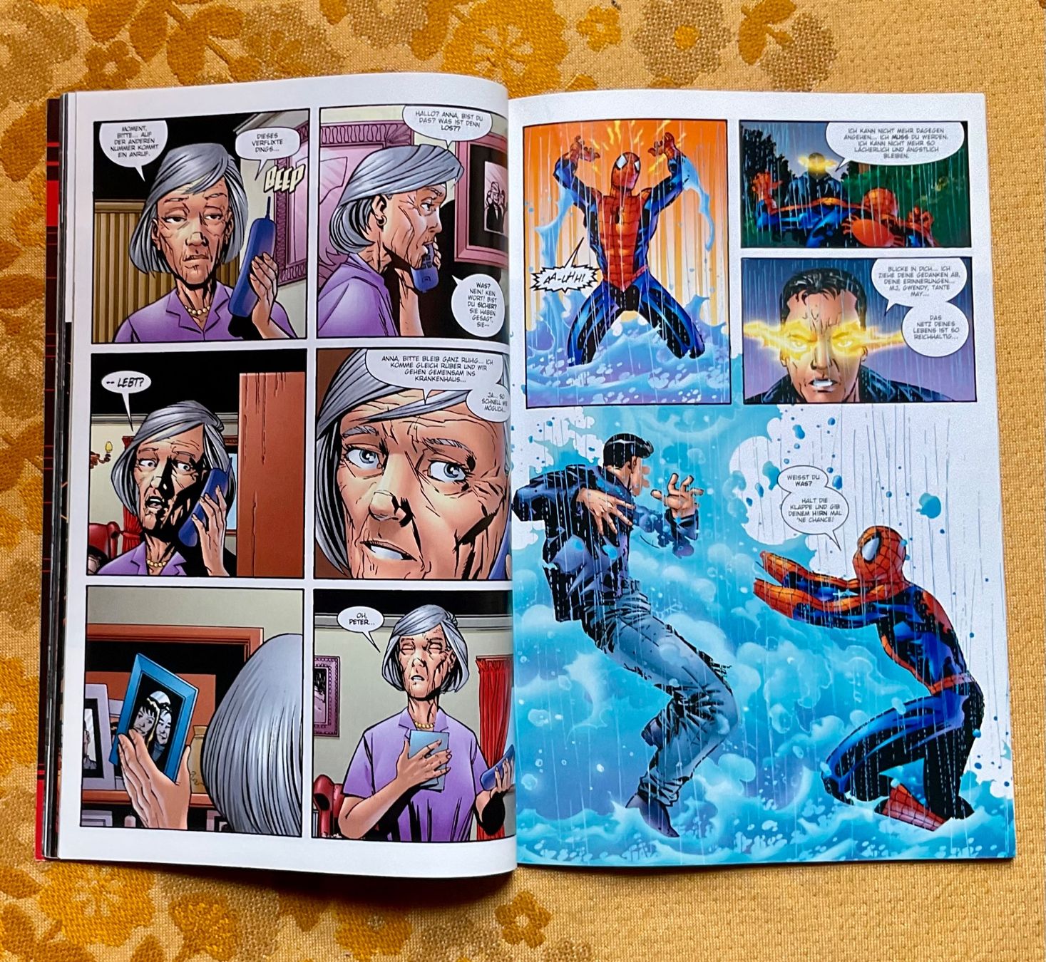 Comics: Peter Parker Spider-Man Heft Nr 17 von 2002 – Gebraucht aus Endingen von nathan05 6