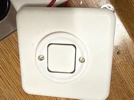 Aus Hausräumung:  alte Steckdose / Schalter (3)
