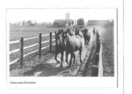 TG Fohlenweide Weinfelden 1947