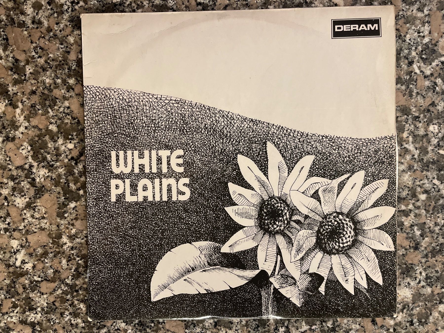 Dischi in vinile: S2/White Plains – Usato da Frutigen venduto da Philippe_jsp