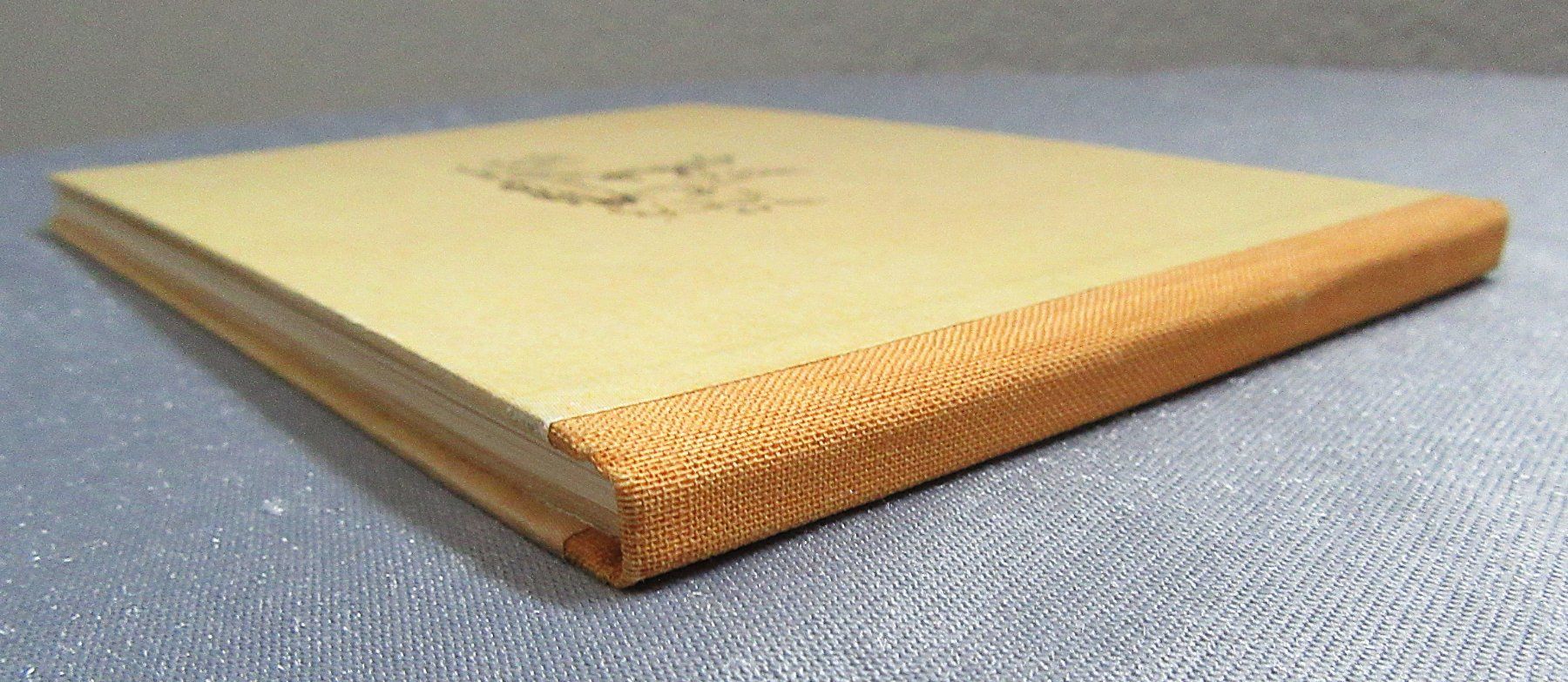 Libri: Buntes Richter-Büchlein - mit 31 farbigen Abbildungen – Usato da Auenstein venduto da Padabimbim 9