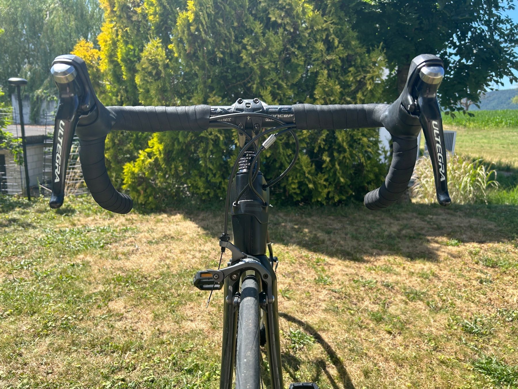 Focus Biciclette: Vélo de route Focus Cayo Ultegra – Usato da Vicques venduto da jen_pq6t 6