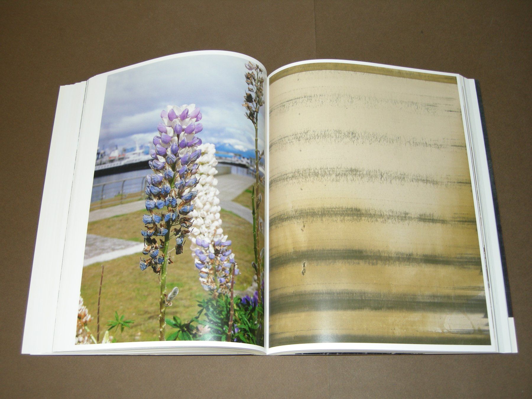 Libri: Wolfgang Tillmans / Neue Welt 2012 – Usato da Aarau venduto da Pearlz 6