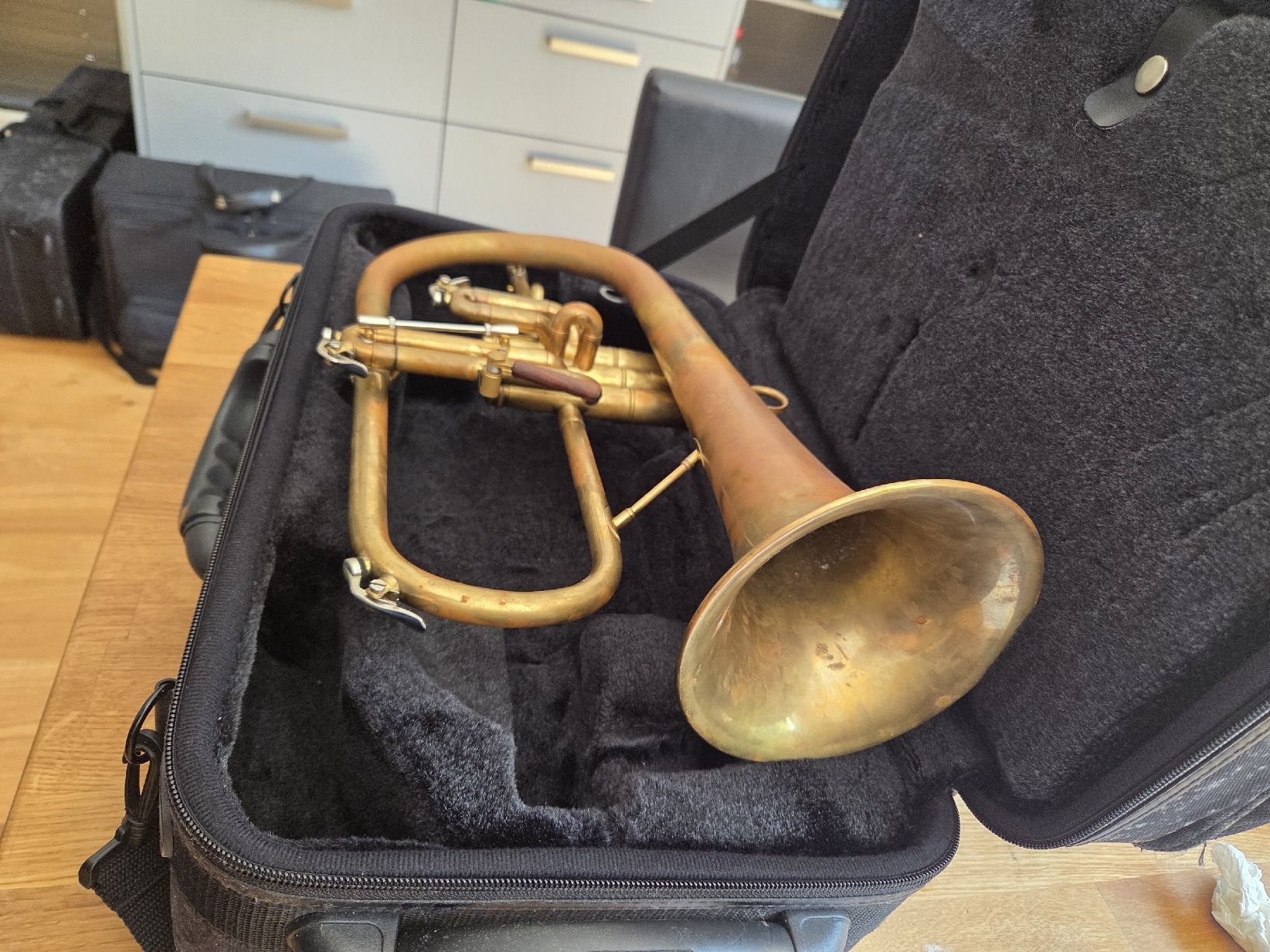 Strumenti musicali: Flügelhorn Carolbrass – Usato da Lostorf venduto da Mir_gqg8 9