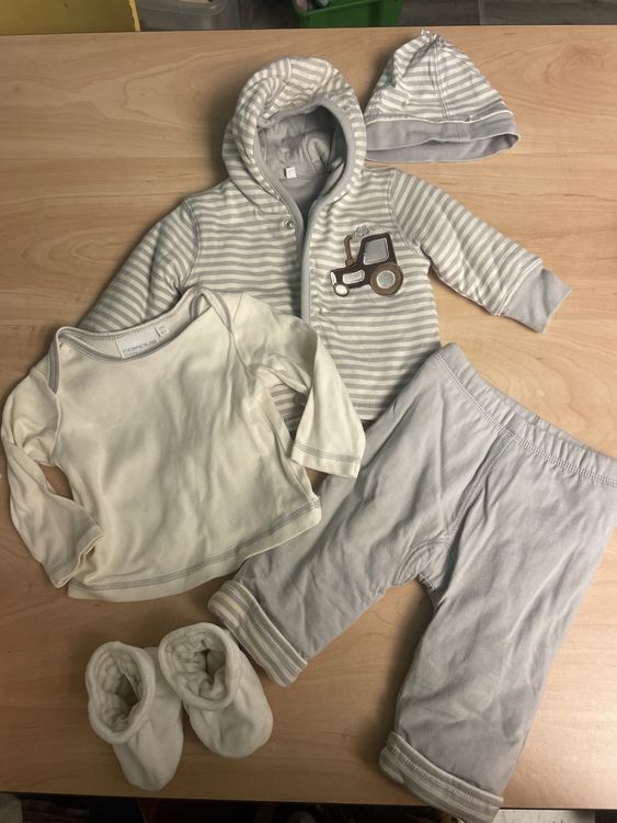 LED Igel Durian Lampe | Wiederaufladbare Nachttischleuchte | Mit Warmlicht & Regenbogen-Farben