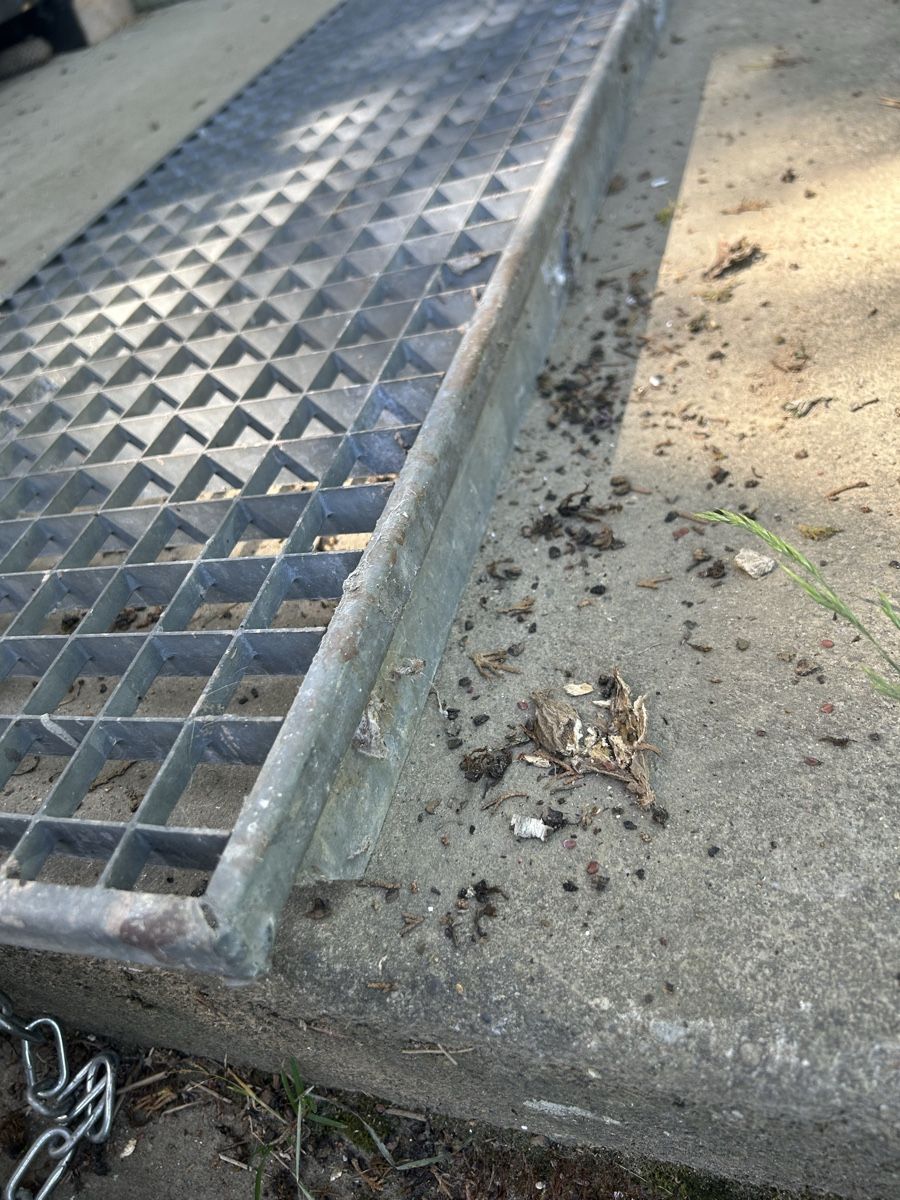 Grilles & Grillages: Lichtschachtgitter – D'occasion à Hermrigen par qua_2bls