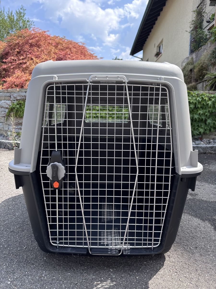 Cages, transport & sécurité: Hundebox für Auto – D'occasion à Felben-Wellhausen par pasigo 1
