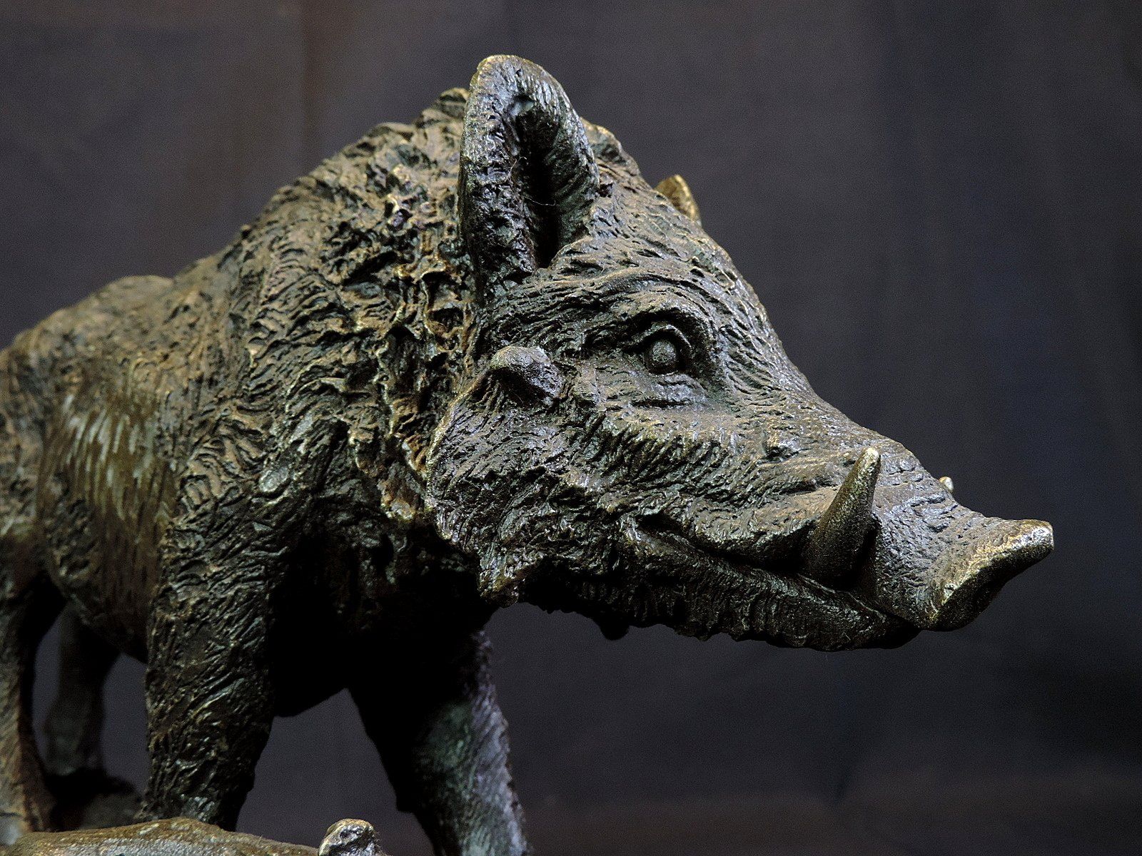 Statuette: Signierte Bronze Figur, Wilschwein – Usato da Duggingen venduto da roterbambus 8