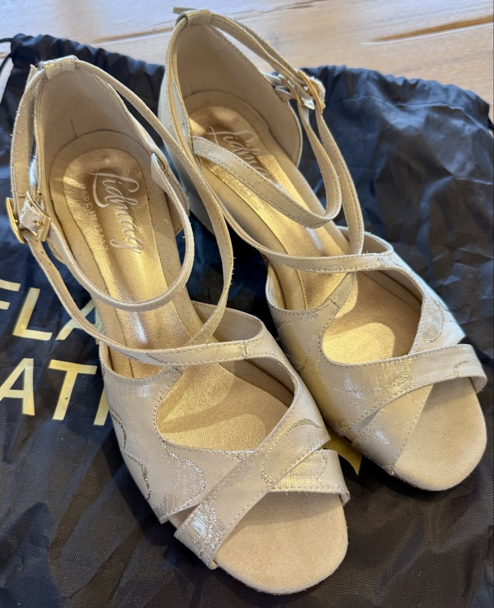 Scarpe da donna: Tanzschuhe gr. 37, Neuwertig – Nuovo (secondo la descrizione) da Ormalingen venduto da Anja5 3