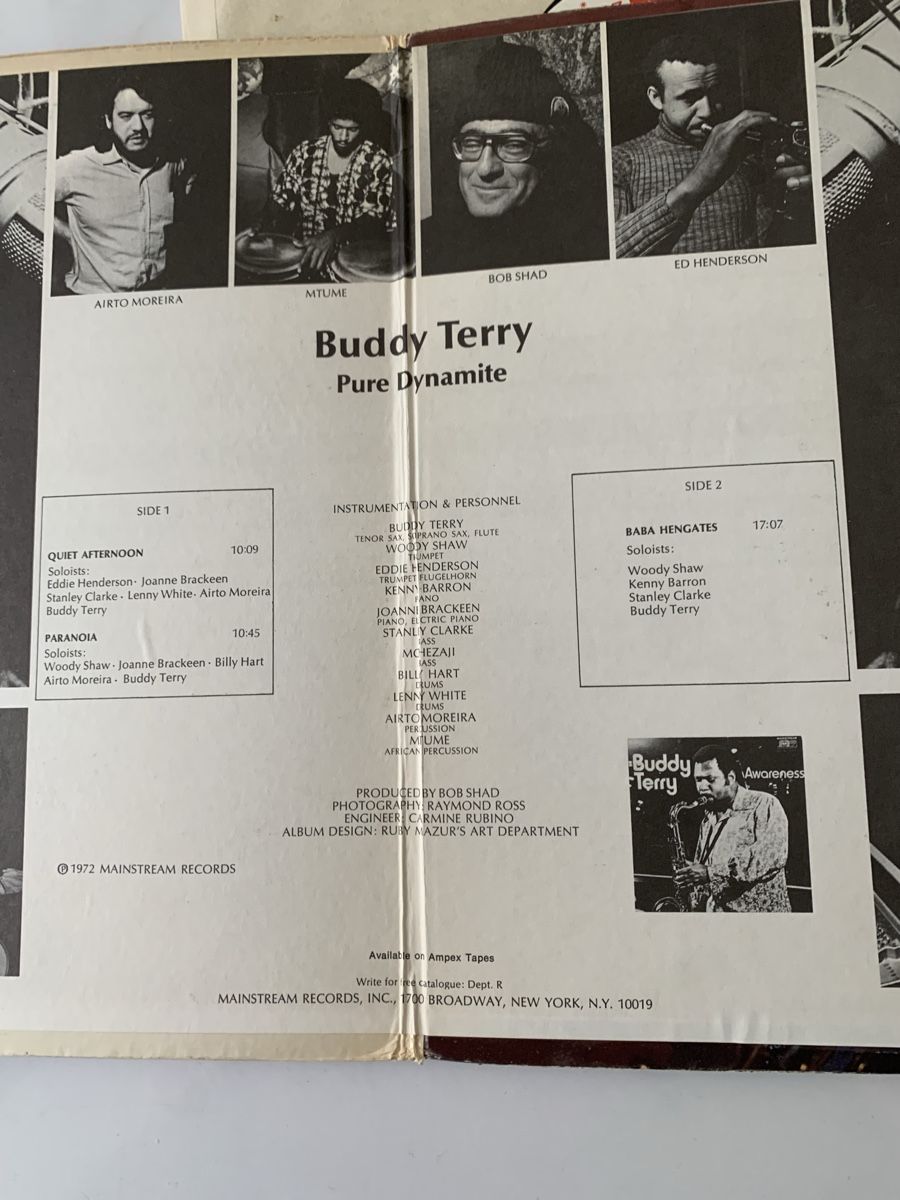 Dischi in vinile: Buddy Terry/Pure Dynamite(Stanley Clarke) – Usato da lausanne venduto da Ccheche 4