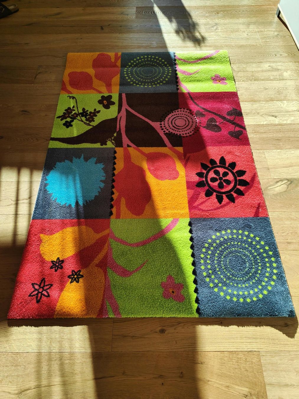 Teppiche: Wash + Dry Teppich – Neu (gemäss Beschreibung) aus Rothrist von ch.bluemchen 1