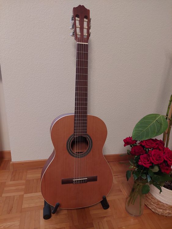 Gitarre von Musik Hug (Gebraucht) in Adliswil für CHF 399 – nur ...