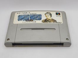 Sword World SNES Super Famicom Japan Modul