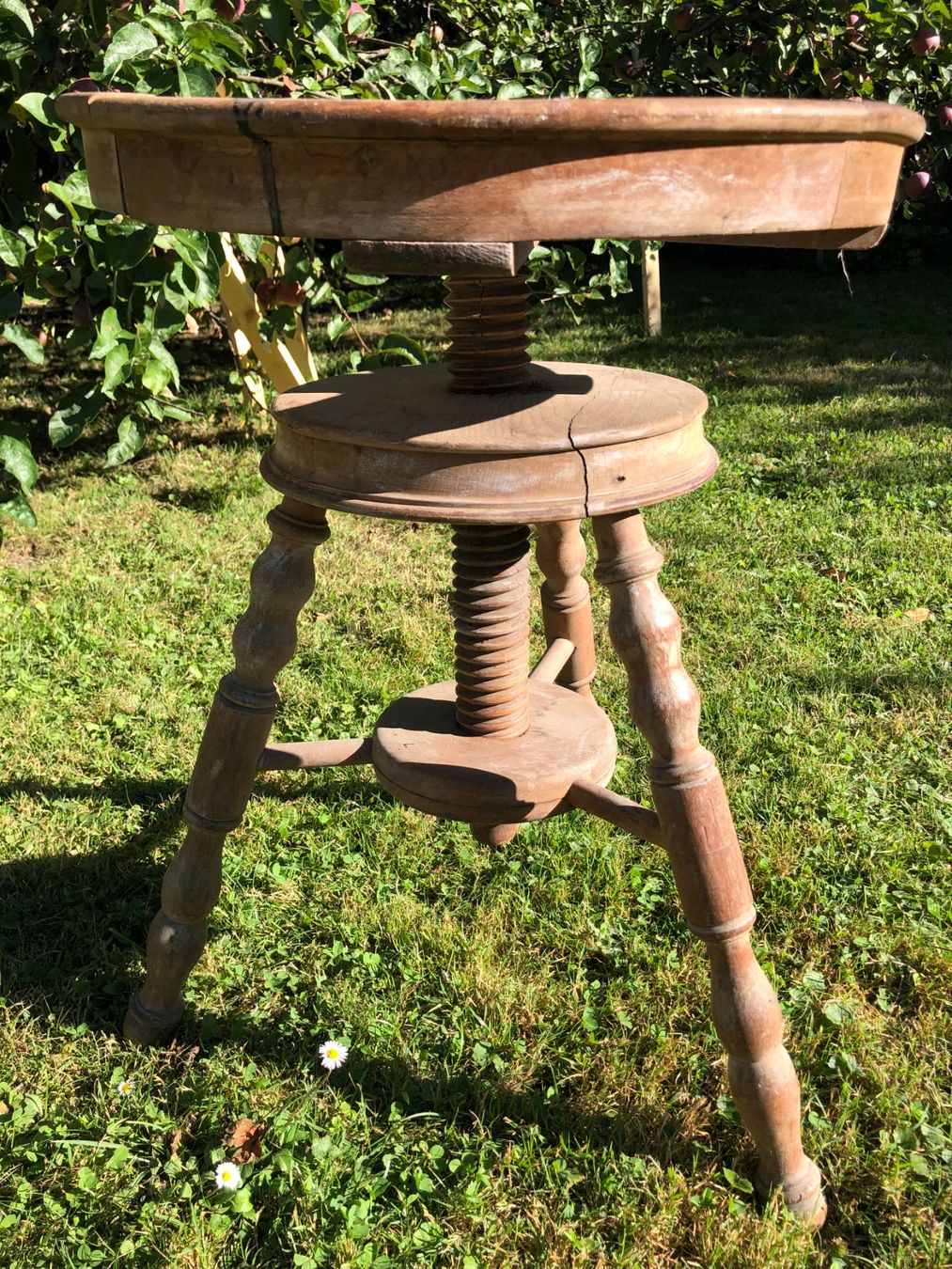 Sgabelli: Schraub Stick Hocker – Usato da Goldach venduto da Ady49