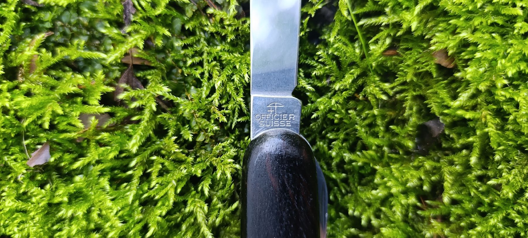 Victorinox Taschenmesser: Victorinox Taschenmesser  – Gebraucht aus Oppligen von can_rf8g 3