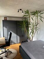Kleiderschrank von Livique