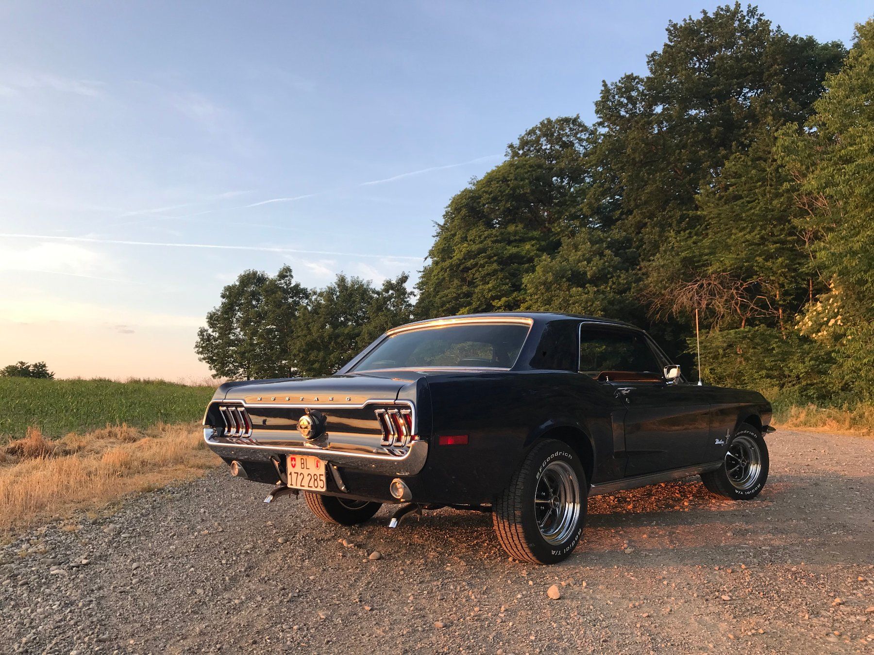 Ford (Usa) Automobili: Ford Mustang 1968, Veteran – Usato da Allschwil venduto da lukisina01 2