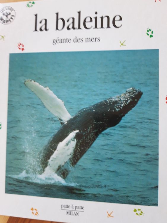 la baleine, géante des mers Kaufen auf Ricardo