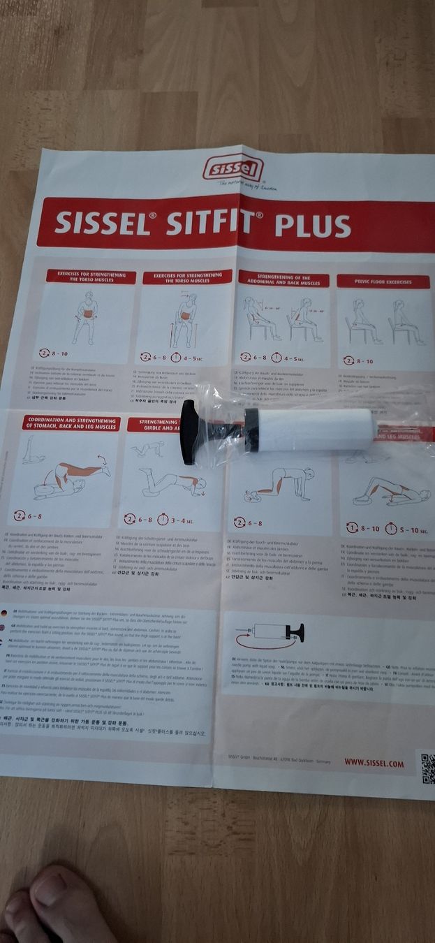 Cuscini: SISSEL SITFIT Plus blau  Versand+Verpackung – Nuovo (secondo la descrizione) da Chur venduto da Giffa-04-06 2