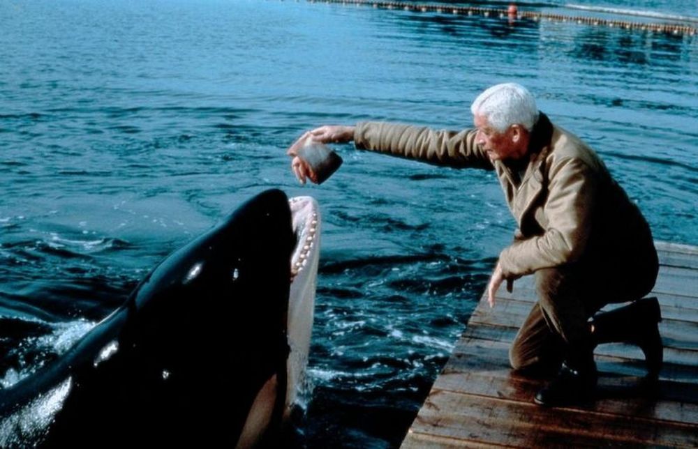 Namu, Der Raubwal 🐋 (1966) Laslo Benedek/Robert Lansing/RAR (Gebraucht — free download