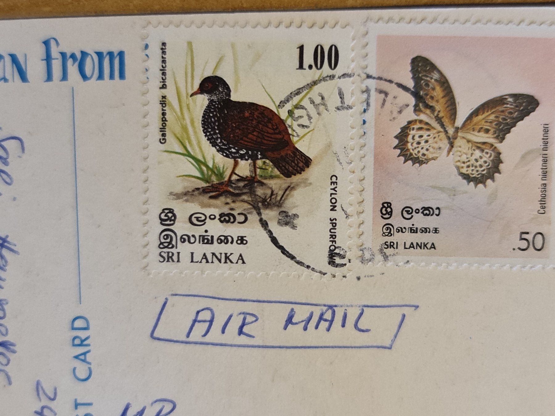 Cartoline postali: Ansichtskarte Maske Garuda Bashka Sri Lanka – Usato da Dintikon venduto da Vexi 1