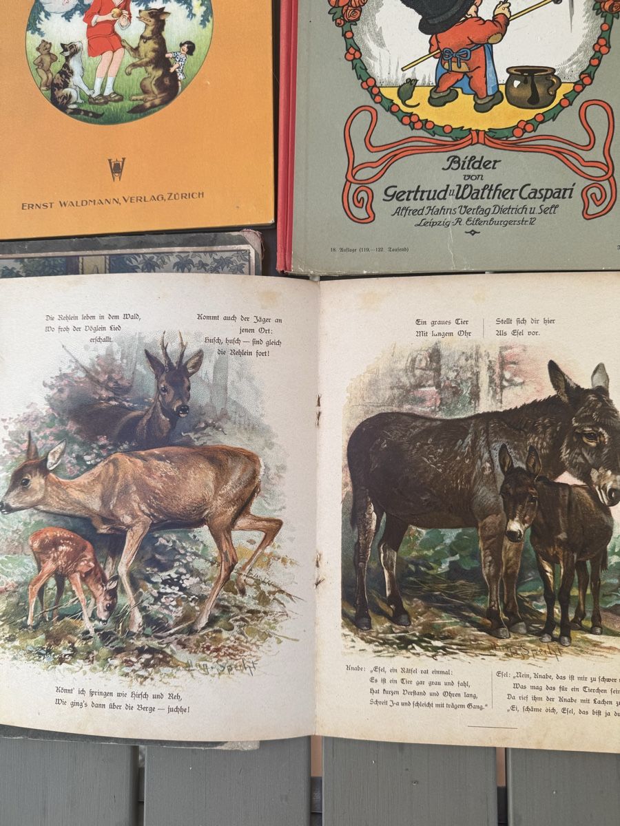 Libri: 6 antike Kinderbücher  – Usato da Pfäffikon ZH venduto da lenaviktoria 2