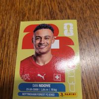 Panini26 NDOVE