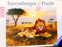 Puzzle 1000er Ravensburger Löwen Könige der Serengeti