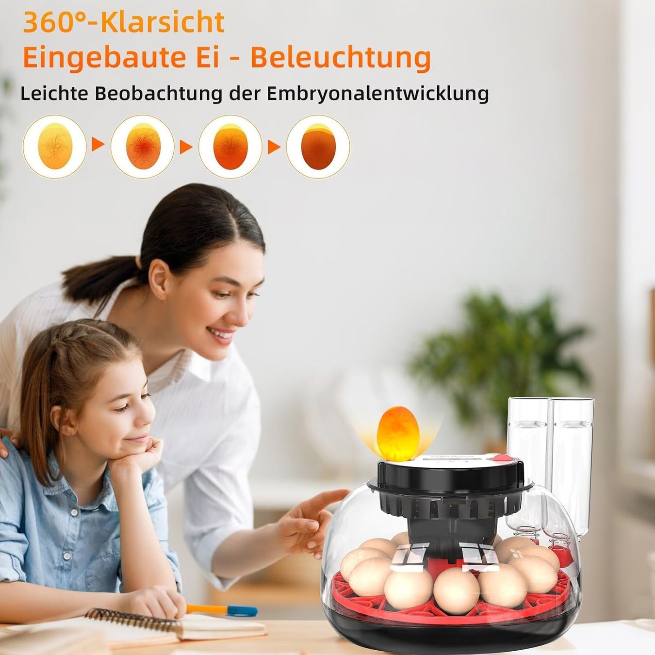 Altro in Accessori per animali: Brutautomat 12 Eier vollautomatisch Eierwender Schierlampe – Nuovo e nell'imballaggio originale da Schaffhausen venduto da schwizerchaes 3