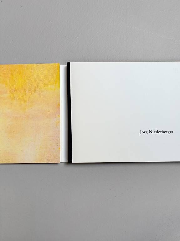 Libri: Kunstbuch, Jörg Niederberger – Usato da Brunnen venduto da sunoboruchikin 1