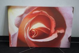 Fotoleinwanddruck 40x60 cm
