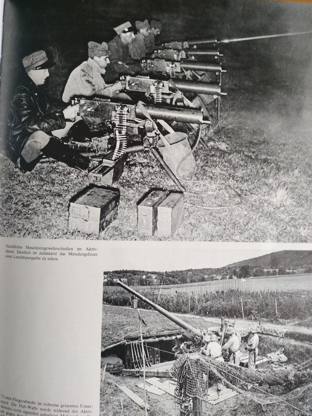 Libri: Schweizer Armee Militär Buch – Usato da Schwanden Sigrisw venduto da cadieux71 3