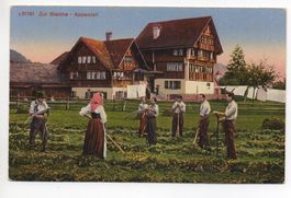 APPENZELL Bleiche, Landwirtschaft