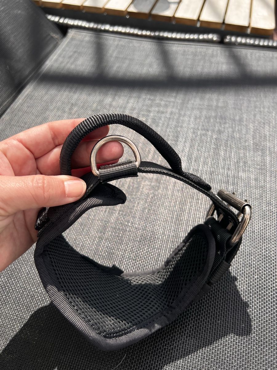 Leine & Halsband: OneTigris Hundehalsband mit Handgriff- Grösse M  – Gebraucht aus Thalheim AG von Kolibri1980 2
