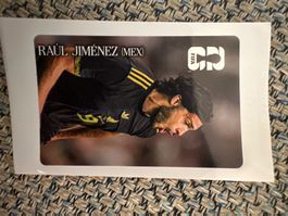 Panini WM 2026 Coca Cola