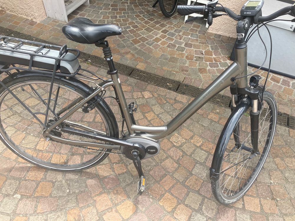 raleigh e bike damen