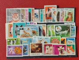 Motivlot 50 x Katzen und Hunde
