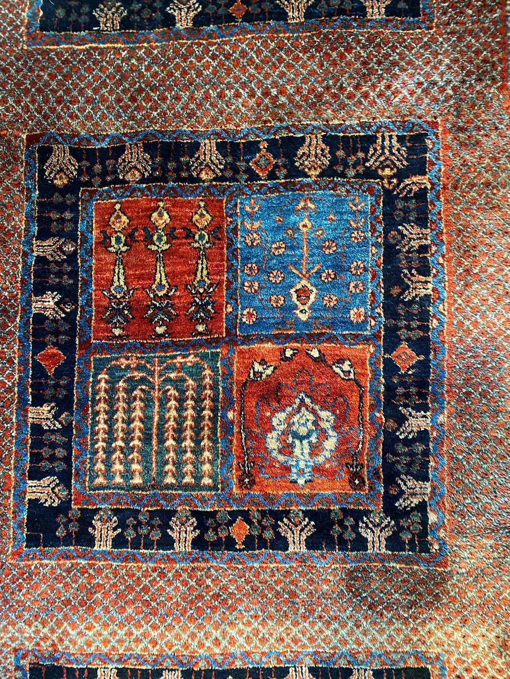 Tappeti: Perserteppich Gabbeh Loribaft 280x220 – Usato da Zürich venduto da Simodo 4