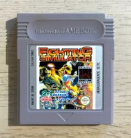 Fighting Simulator Gameboy