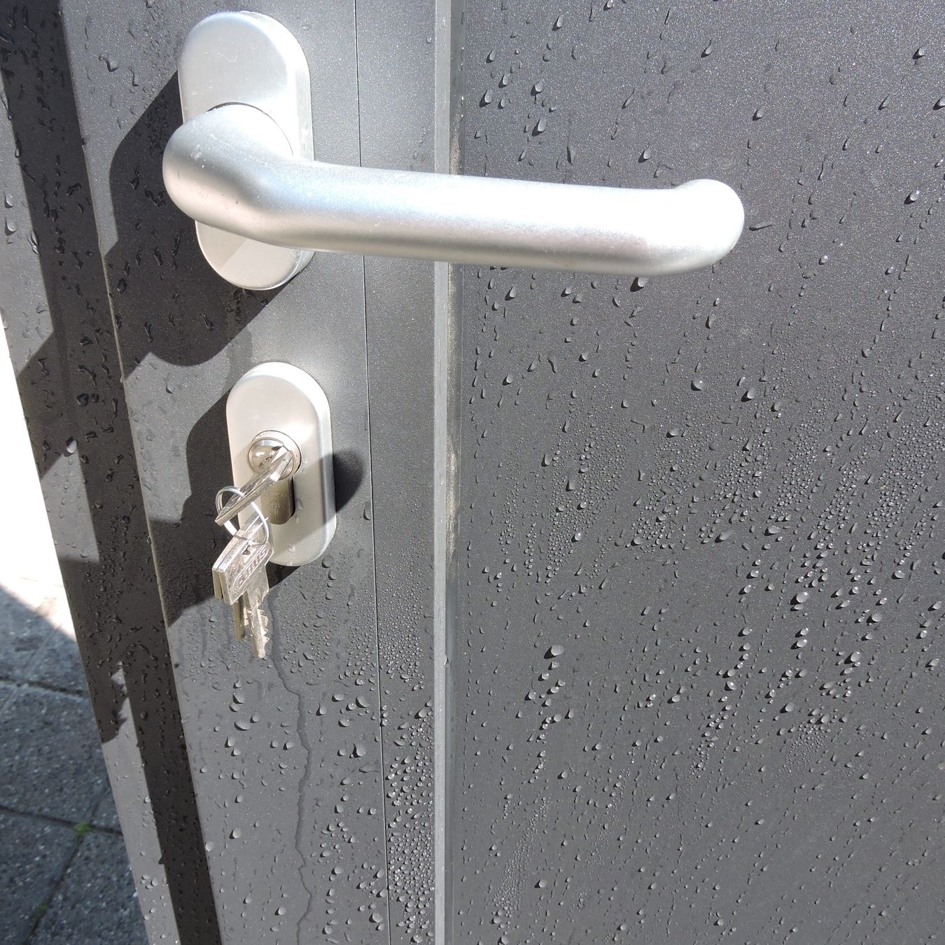Porte: Haustüre "GROKE" – Nuovo (secondo la descrizione) da Meikirch venduto da rva_q8c7 2