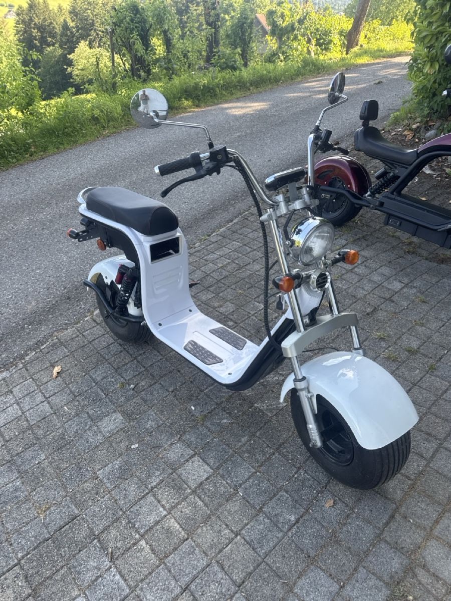Veicoli elettrici: Elektro Roller – Usato da Wattwil venduto da kft_2nnd 1