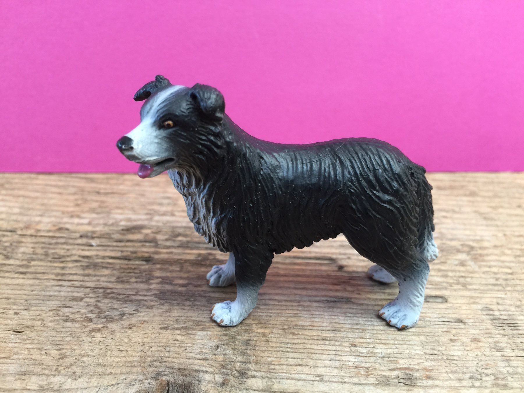 Schleich Statuette: Schleich Border Collie Hund – Usato da Ennetbaden venduto da mapa05