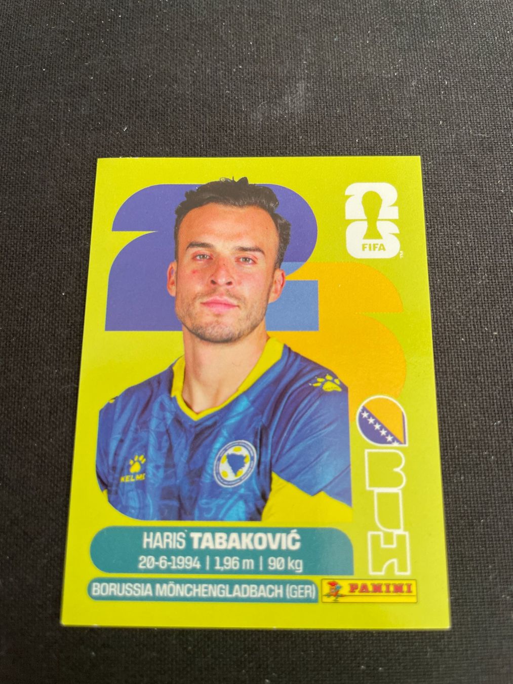 Panini Carte collezionabili: FIFA WM 2026 Sticker BIH 20 – Usato da Fahrwangen venduto da Venez