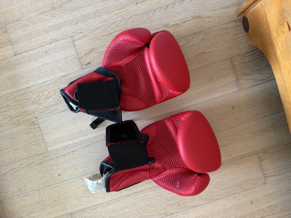 Hometrainer: Full at-home gym items (27 items) – Usato da Dietikon venduto da Jacob-Alexandre 9